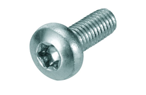 Schweizer screw MSP-FR-TS 6.3x22 mm